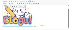 Resizing images